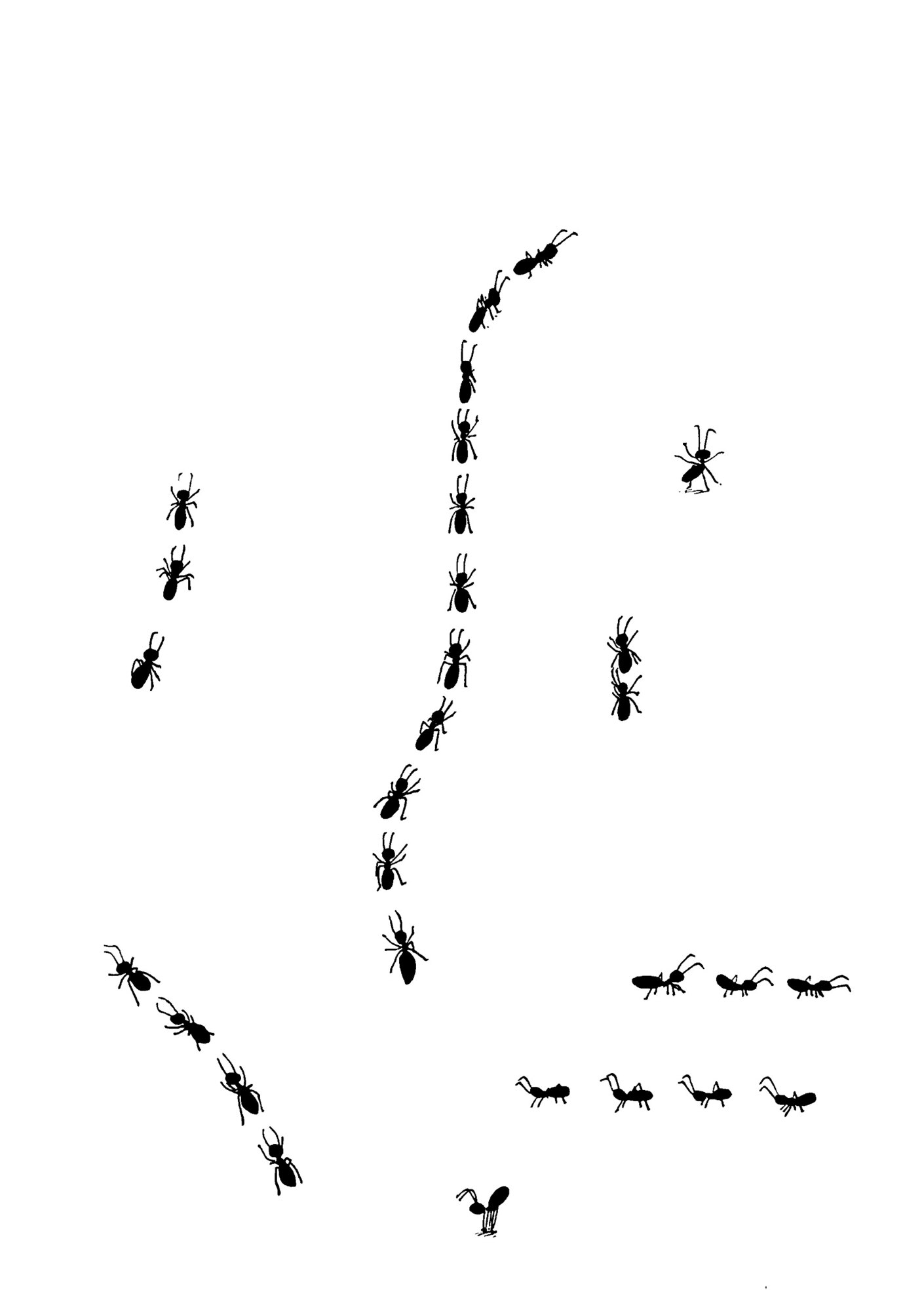 A Cane, Sticky Notes, Another Body, backcover of annual zine from Constant, some ants crawling on the zine