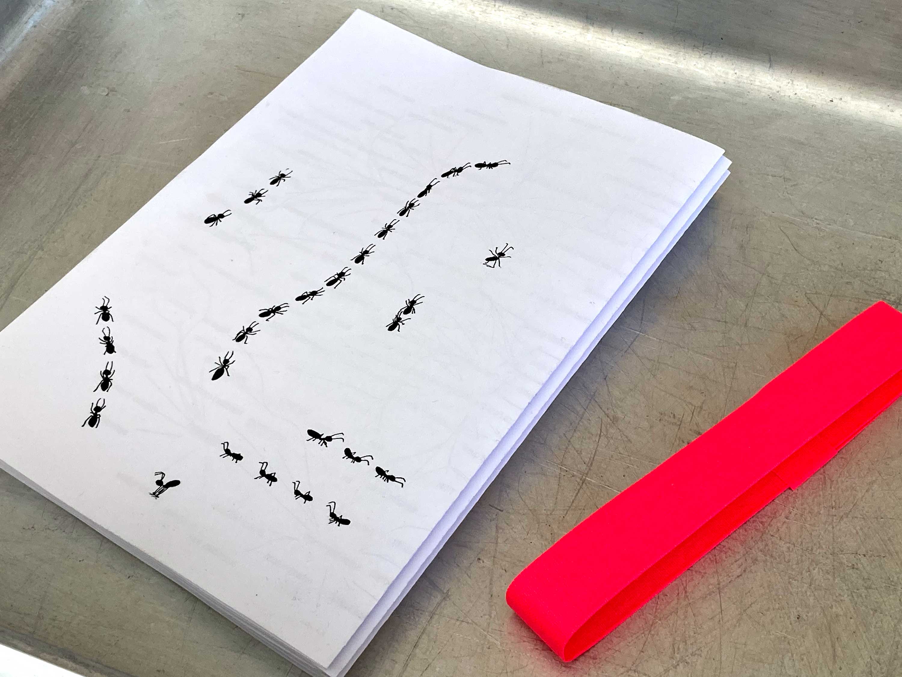 Photo of the book: A Cane, Sticky Notes, Another Body