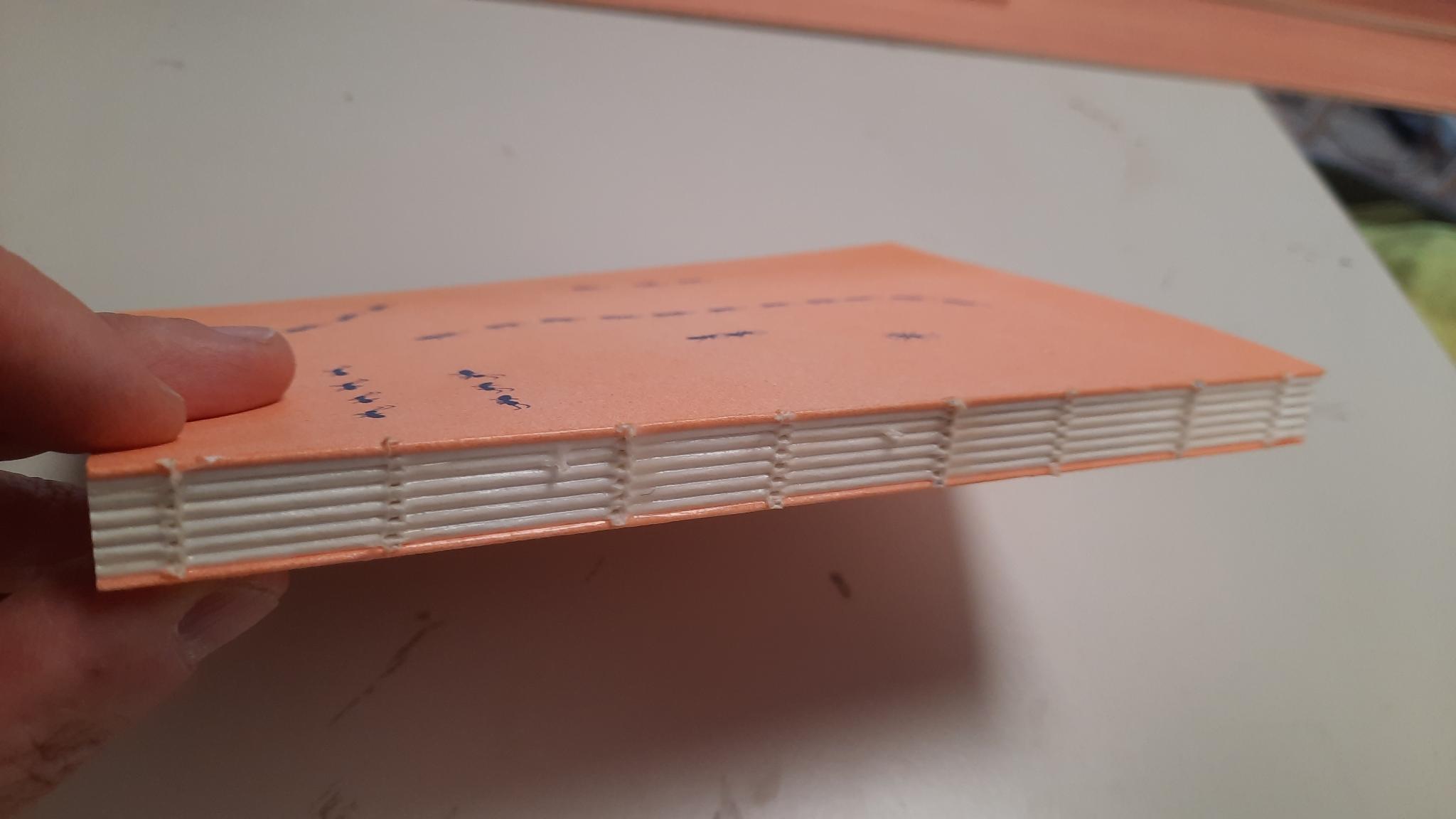 Photo of the book: A Cane, Sticky Notes, Another Body