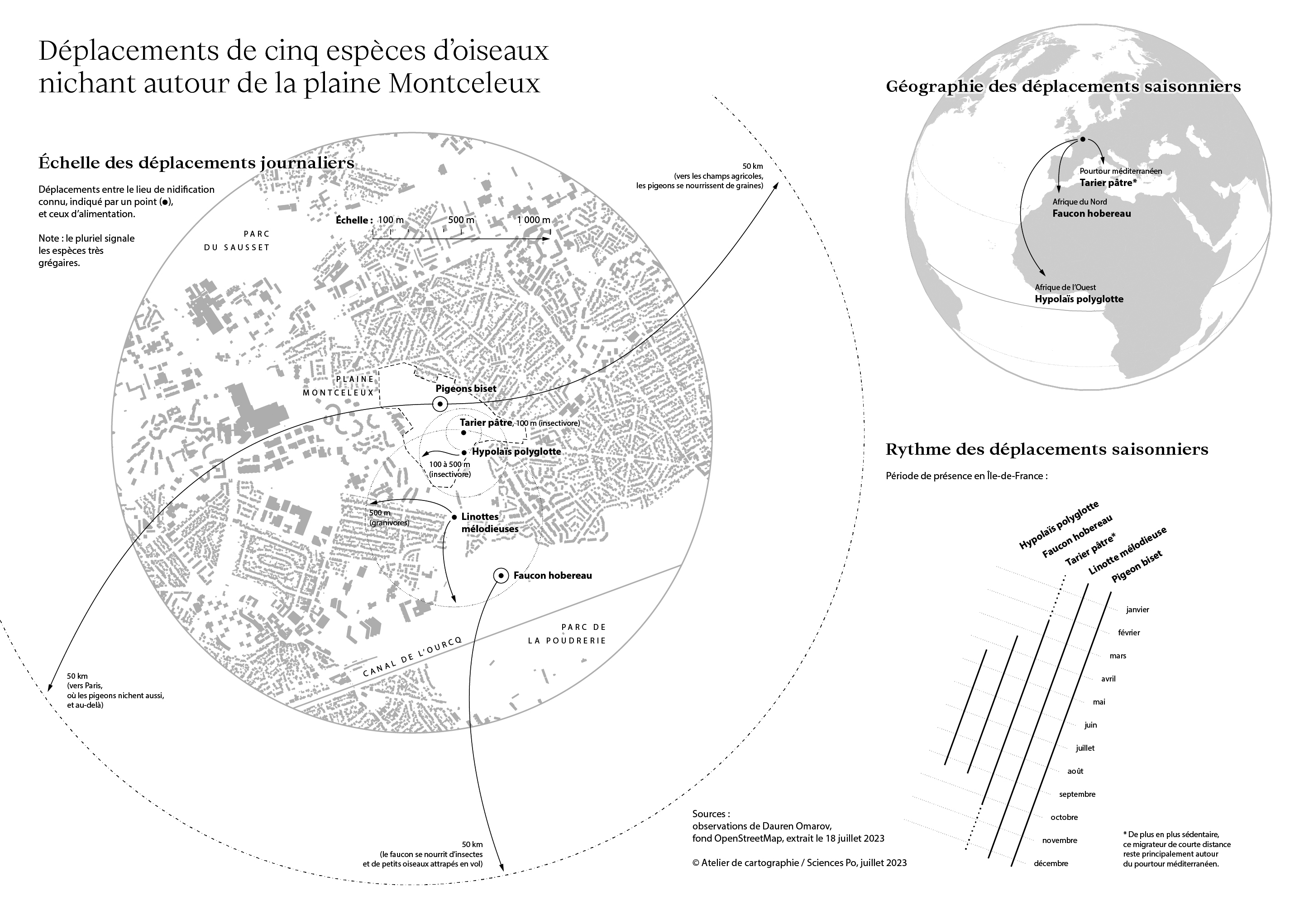 Carte des déplacements de cinq espèces d'oiseaux nichant à Sevran – crédit : Atelier de cartographie de Sciences Po 2023