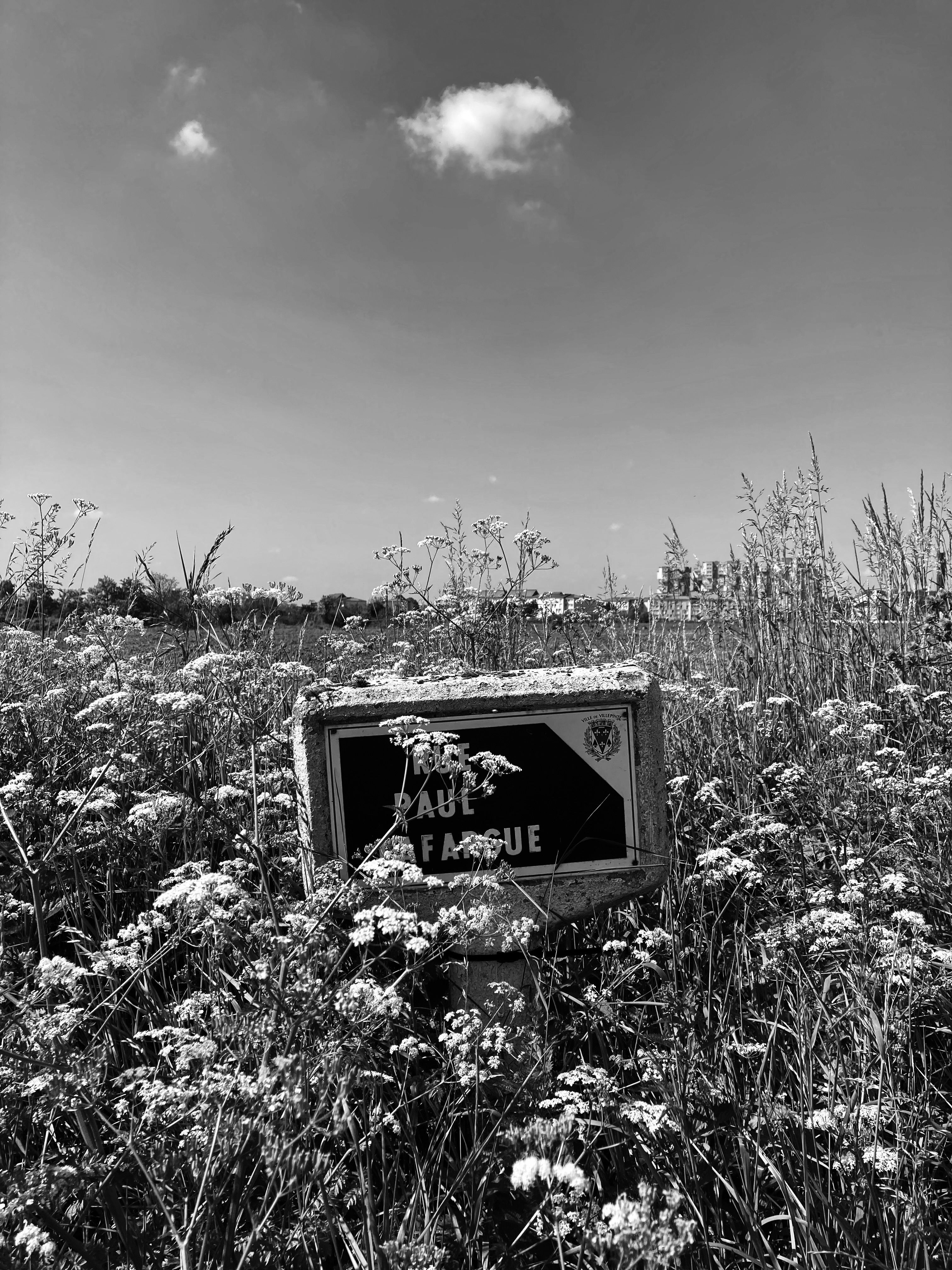 La rue Paul Lafargue à Villepinte au printemps. Elle longe la plaine Montceleux au nord. Photo : Clémence Seurat (2022).