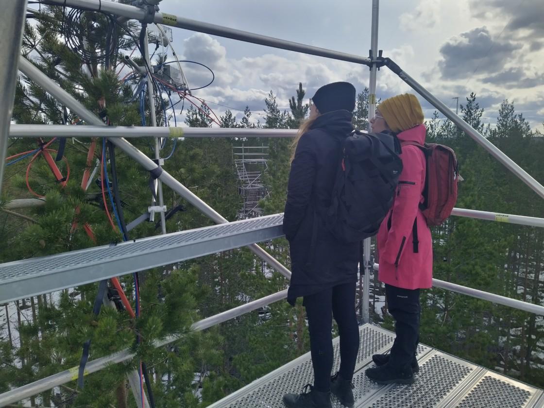 Members of the Creatures collective walt at the SMEAR II station in Jupajoki, Finland. Photo by Sjef van Gaalen