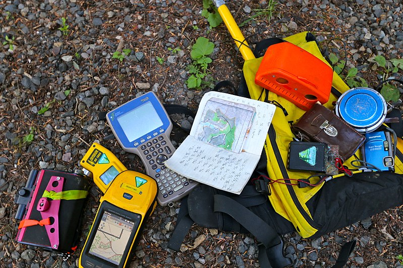 Forest fieldwork. Photo by Priscila Santos da Costaa